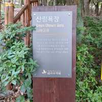 제주시 노형동 한라수목원
