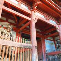【京都】豊臣秀吉の豪華絢爛ぶりを感じる