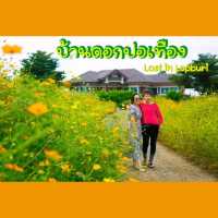 บ้านดอกปอเทือง