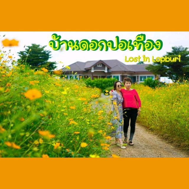 บ้านดอกปอเทือง