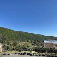 修善寺竹林の小怪【静岡県/修善寺 】