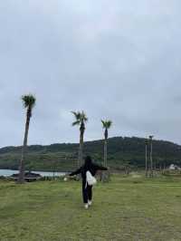 [제주도]제주도 바다보면서 피크닉하기 너무 좋은 함덕 서우봉해변💙