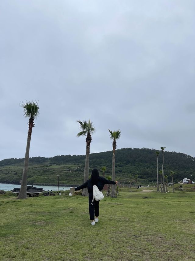 [제주도]제주도 바다보면서 피크닉하기 너무 좋은 함덕 서우봉해변💙