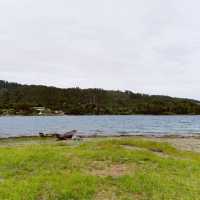 Batu Passa, Samosir Island
