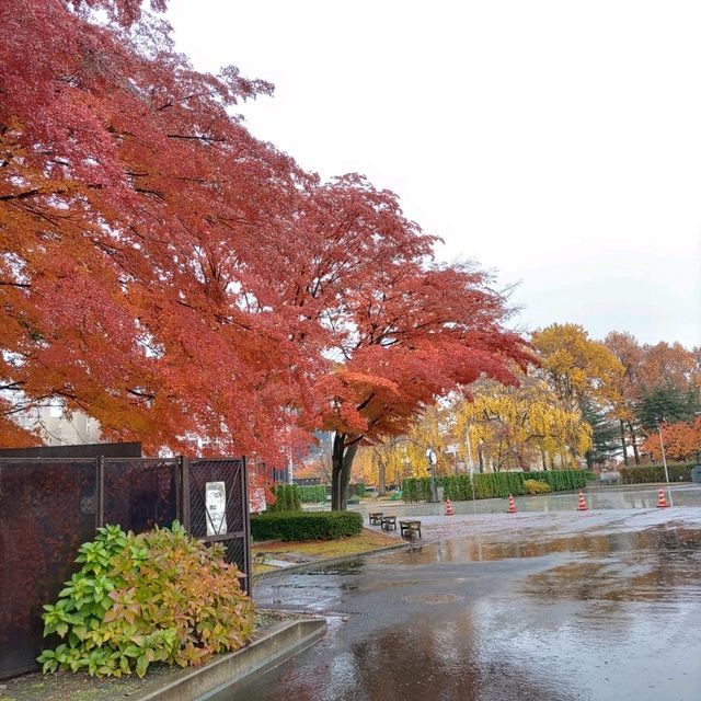 岩手県！歴史と文化とマンホールカード