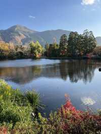 【大分カフェ】金鱗湖の紅葉が素敵な絶景カフェ☺️