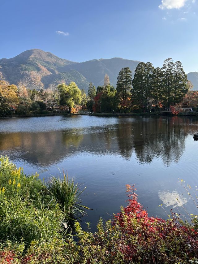 【大分カフェ】金鱗湖の紅葉が素敵な絶景カフェ☺️