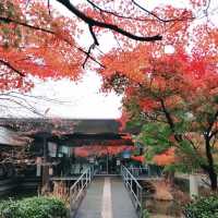 紅葉の源氏物語ミュージアム　宇治