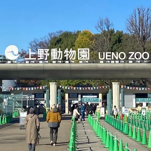 【上野動物園】パンダ来園50周年