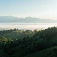 เดอะวิว at กิ่วม่วง  ’ จ.น่าน