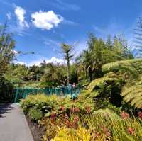 A Must See ~ Award-Winning Hamilton Gardens