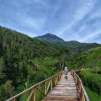 LAWU MOUNTAIN