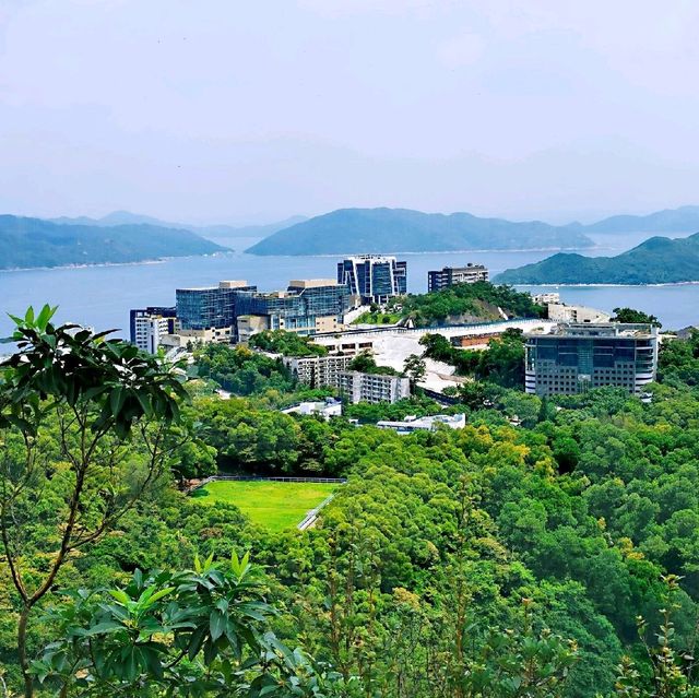 尖削如錐的鷓鴣山 尖削如錐的鷓鴣山