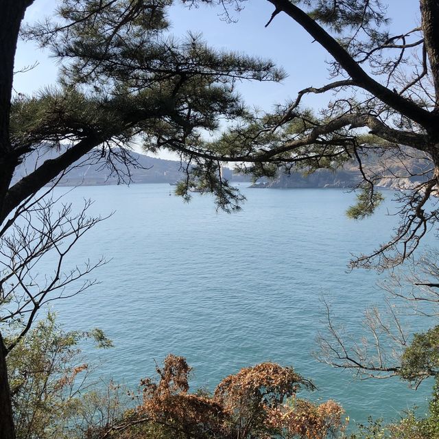 [여수 핫플] 아름다운 섬_오동도