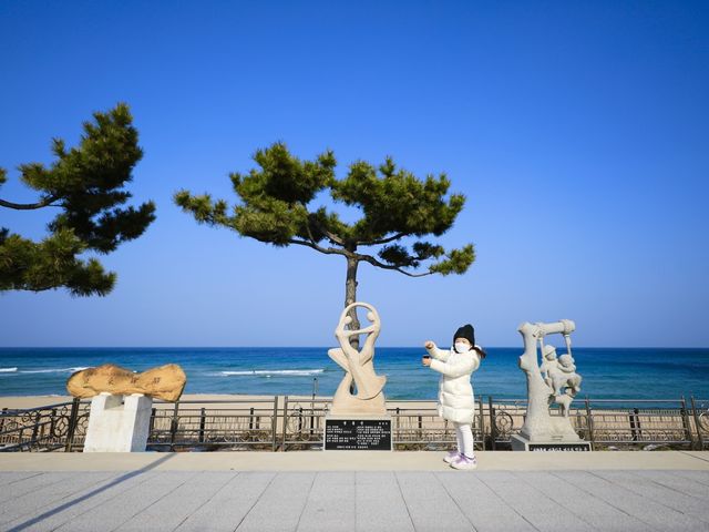 강릉 정동진해변 바다와 가장 가까운 정동진역