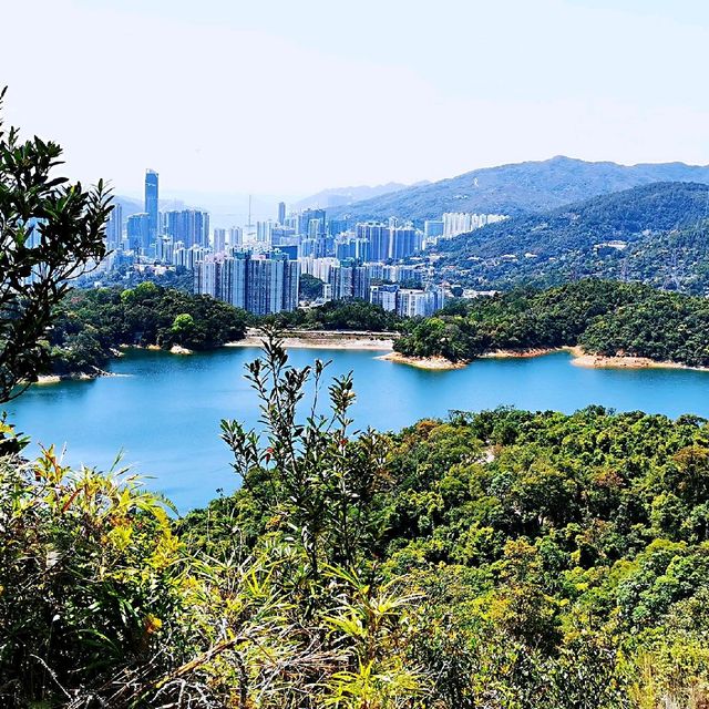 針山