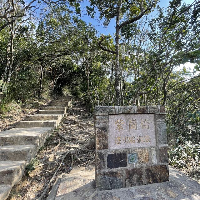  看不見盡頭的孖崗山梯級👻