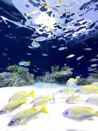 【福岡】定番デートスポ🐠マリンワールド