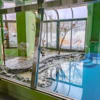 冬の円山動物園・ビーバー館