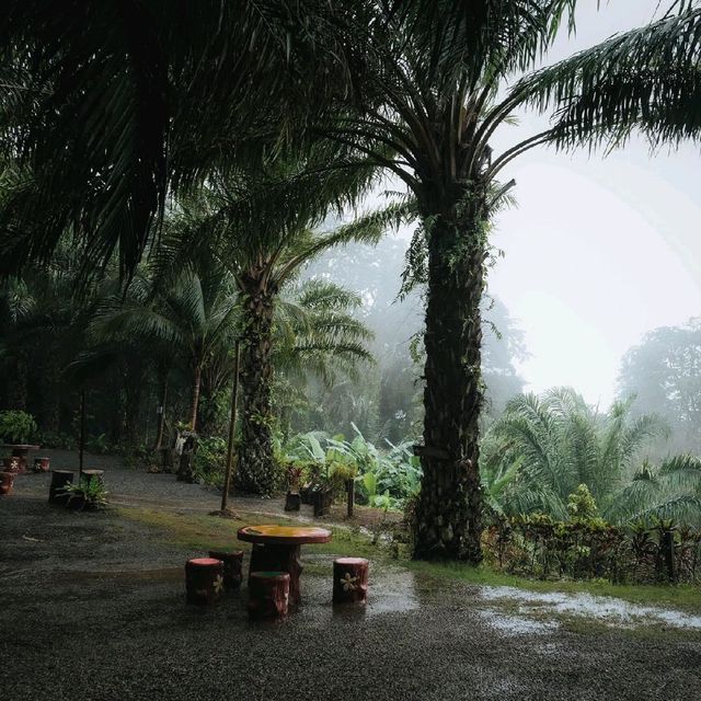 ทิวเขา Coffee คาเฟ่ ที่วิวสวย และปังที่สุดอีกแห่ง 