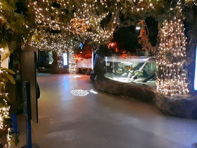 부산 데이트코스, SEA LIFE 아쿠아리움