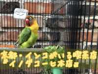 【京都】インコに癒される『イノダコーヒ本店』