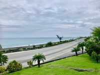 花蓮公路海岸向日葵美景，搭配藍藍的海岸線好漂亮～
