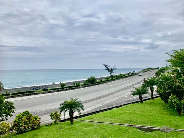 花蓮公路海岸向日葵美景，搭配藍藍的海岸線好漂亮～