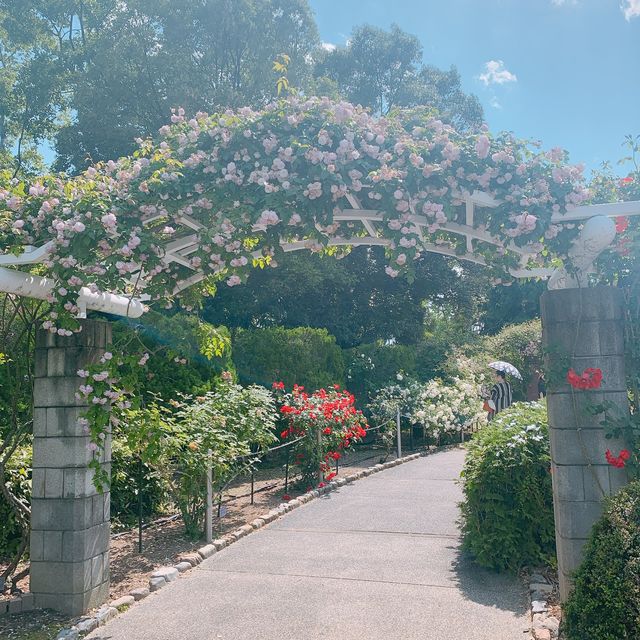 【京都】1日のんびりできる京都の憩いの場