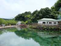 鹿兒島必去打卡仙境｜霧島山麓丸池湧水