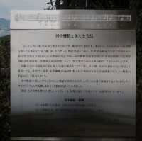 點只九十九個