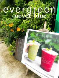 Evergreen Never Blue 🍃ร้านนี้มีแต่สีเขียว