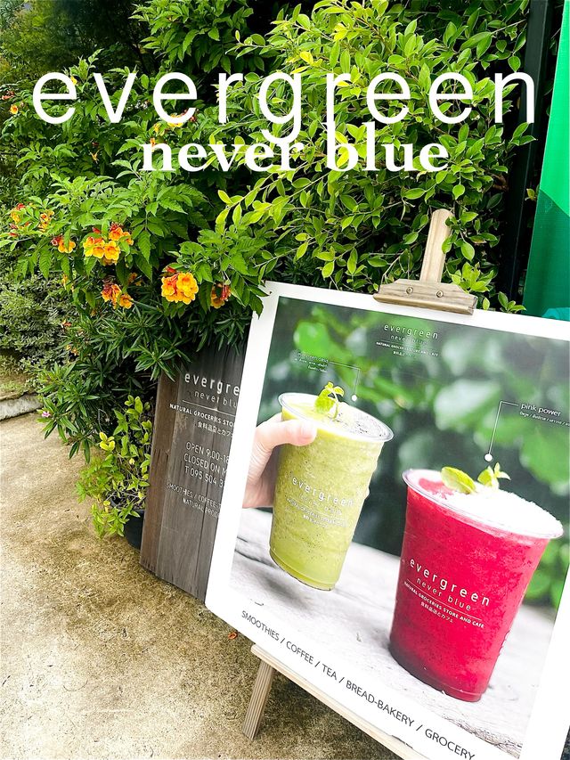 Evergreen Never Blue 🍃ร้านนี้มีแต่สีเขียว
