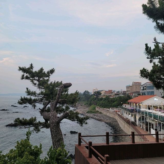 경주여행 양남 주상절리