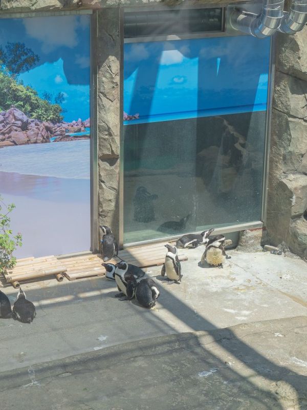 아이와 함께 산책하기 좋은 어린이대공원🤍