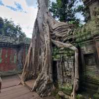 The Trees Roots Temple