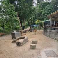 The Rainforest Kidzworld In Mandai Zoo