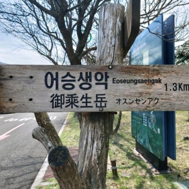 한라산을 느껴볼 수 있는 어승생악