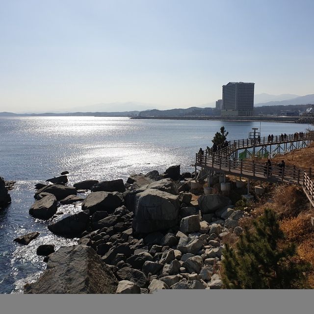 바다 따라 둘레길, 외옹치 해수욕장