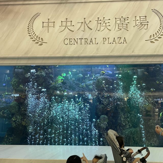台北市士林區 ｜ 大葉高島屋