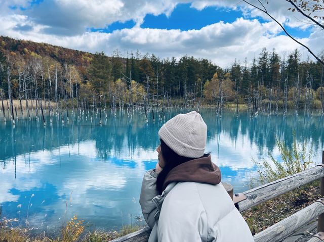 北海道超有名景點—青い池😍😍😍