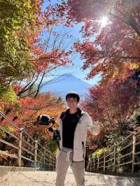 Best view of Mt Fuji with Autumn Foliage!