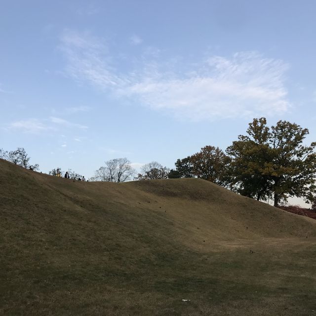 올림픽공원에서 단풍 즐기기🍁🍂