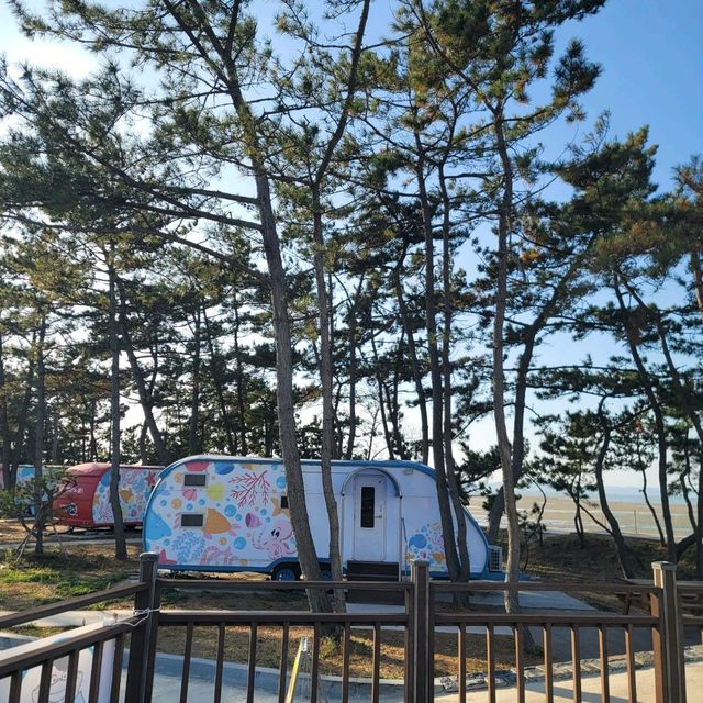 무안 낙지공원 놀이공원
