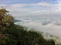ทะเลหมอกนี้ที่อุทยานแห่งชาติภูหินร่องกล้า