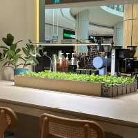 Latest Big Bad Cafe In Town