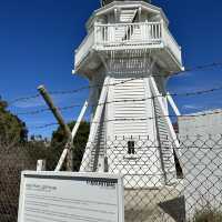 NZ 紐西蘭 南島 卡提奇燈塔 Katiki Point Lighthouse