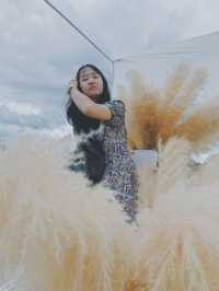 ลออคาเฟ่ คาเฟ่บ้านเรือนไทยประยุกต์
