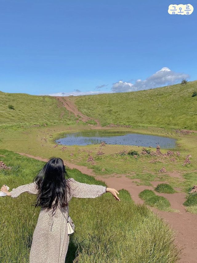 🏝️ 저장 안하면 후회하는 제주 서쪽 여행지_zip