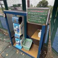 小樽でシマリスに会う！天狗山シマリス公園